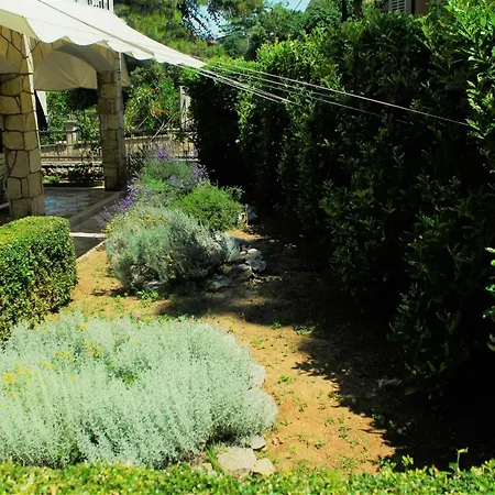 Lucia Biograd Apartment