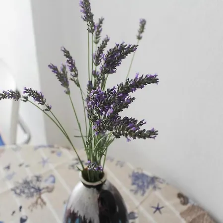 Lucia Biograd Apartment